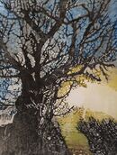 black oak tree on the left hand side.  Sun is low in the sky so yellow light to the right hand side.  Dark hedgerow on the lower right