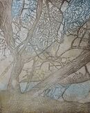 large tree in the foreground overhanging a river there is bark on the trees and a mass of branches and twigs in the background