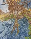 A tree and it's reflection.