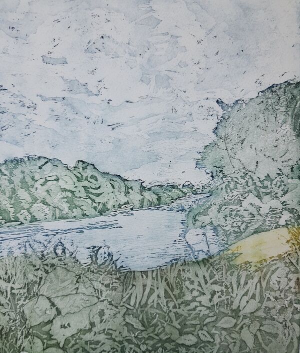 a blue river with trees in the background and plants (grass and wildflowers) in the foreground