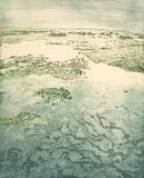 A view showing a salt marsh with water or ice in the foreground