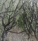 black trees with some olive green foliage