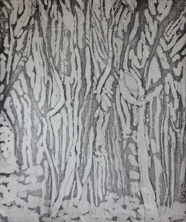 black and white shapes of trees looks like winter