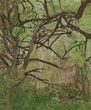 Tree branches against bright green filage