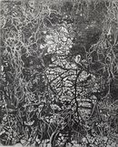 black and white image with plants.  Almost abstract