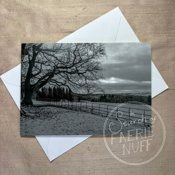 Snowy Landscape #2