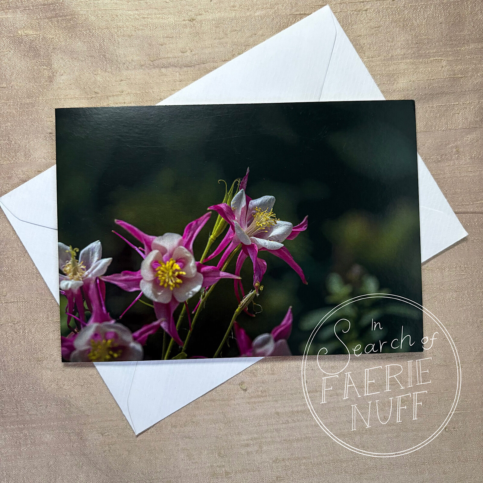 Aquilegia