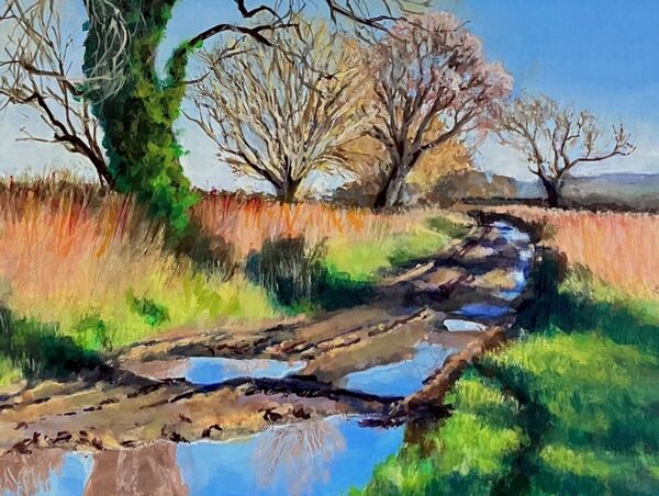 6. The Track to Martinsthorpe, Rutland