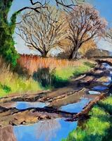 6. The Track to Martinsthorpe, Rutland