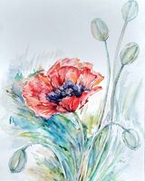 Poppy