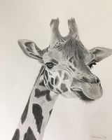 George giraffe