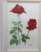 Red Roses