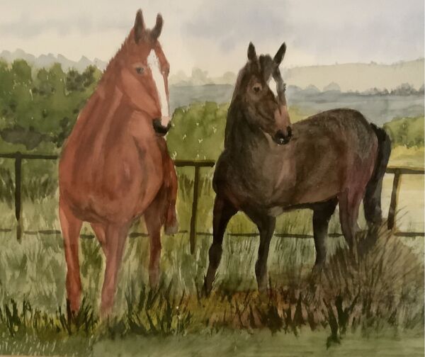 22. Paddock in Rutland  (Colin Bath)