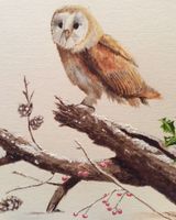 Winter Barn Owl