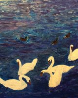 Swans