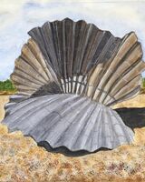 The Scallop (Maggi Hambling) at Aldeburgh
