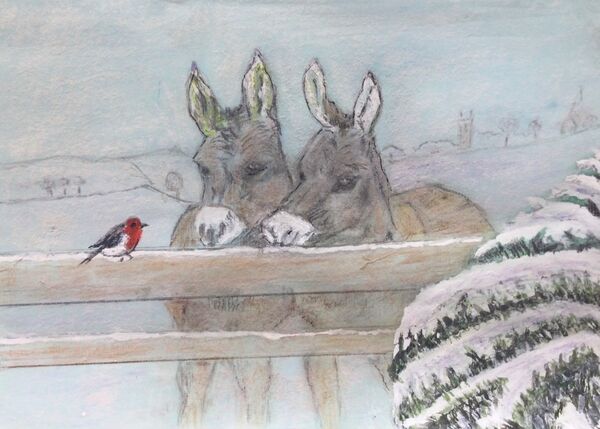 20 Winter donkeys near Langham (Ann Onions)