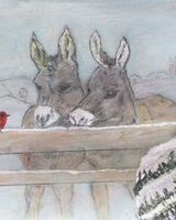 20 Winter donkeys near Langham (Ann Onions)