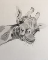 Gina giraffe