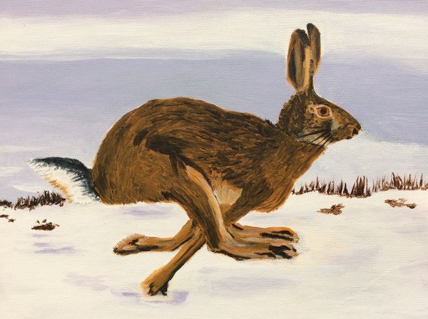 MARCH 2020 - Hare in the Cottesmore Snow, acrylic by Margaret Conner