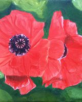 Poppies