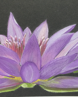 Shades of Purple