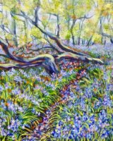 APRIL Bluebells Rutland Water. Acrylic by Carolyn Siddall