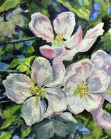 Apple Blossom