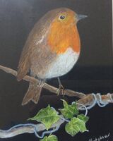 Robin