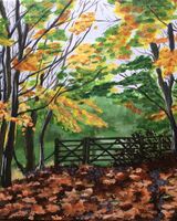Dalby Woods in Autumn