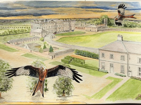 SEPTEMBER 2020 - Red Kites over Burley on the Hill, watercolour by Bruce Allison