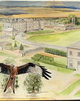 SEPTEMBER 2020 - Red Kites over Burley on the Hill, watercolour by Bruce Allison