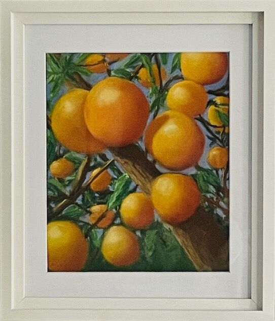 Under the Orange Tree (SOLD 2025)