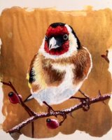 Goldfinch