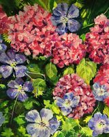 Hydrangeas & Geraniums