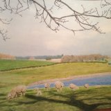 View of Rutland Water