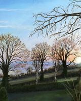 Winter Sunrise