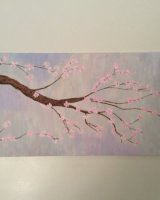 Cherry Blossom
