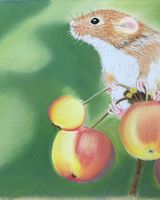 Field mouse