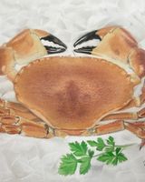 Crab on Ice