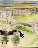 Red Kites over Burley on the Hill
