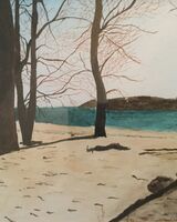 8. Winter Shoreline, Rutland Water (DECEMBER). Barbara Bath. Watercolour