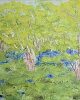 13. Hambleton Wood, Spring