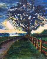 24. Dawn over Rutland Water