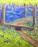 2. Bluebells at Barnsdale