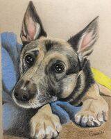 Lulu