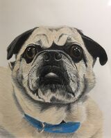 Oscar (2)
