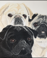 The Good, the Bad and the Pugley