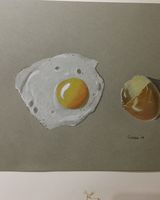 Fried egg and its shell