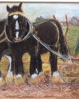 Working Shires at Empingham